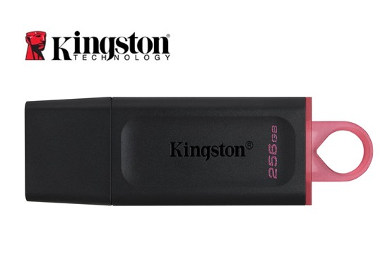 KINPEN256DTEXODIA  PENDRIVE KINGSTON DTX EXODIA 256GB USB 3.2