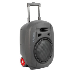 ALTAVOZ PORTÁTIL IBIZA PORT8 UHF BT-MKII TWS