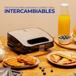 SANDWICHERA JATA PLACAS INTERCAMBIABLES